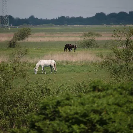 Muhlenhof Whg. 2 * Sankt Peter-Ording